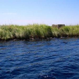 Photo of SOLD!!  547 Acres of Waterfront Hunting Land For Sale in Beaufort County NC!