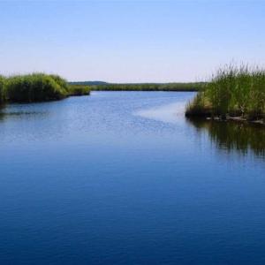 Photo of SOLD!!  547 Acres of Waterfront Hunting Land For Sale in Beaufort County NC!