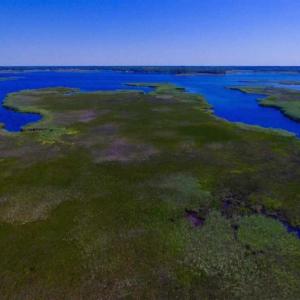 Photo of SOLD!!  547 Acres of Waterfront Hunting Land For Sale in Beaufort County NC!