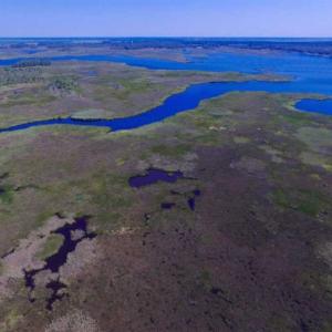 Photo of SOLD!!  547 Acres of Waterfront Hunting Land For Sale in Beaufort County NC!