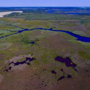 Photo of SOLD!!  547 Acres of Waterfront Hunting Land For Sale in Beaufort County NC!