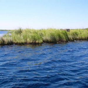 Photo of SOLD!!  547 Acres of Waterfront Hunting Land For Sale in Beaufort County NC!