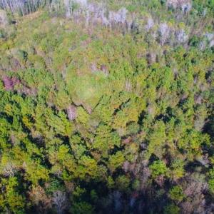 Photo of SOLD!!  10.6 Acres of Wooded Residential Land For Sale in Harnett County NC!