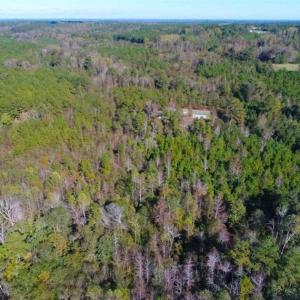 Photo of SOLD!!  10.6 Acres of Wooded Residential Land For Sale in Harnett County NC!