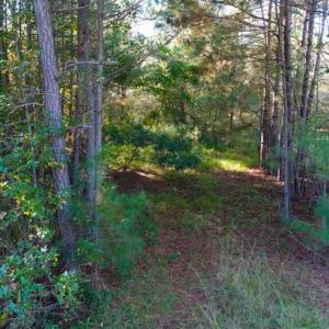 Photo of SOLD!!  10.6 Acres of Wooded Residential Land For Sale in Harnett County NC!