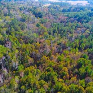 Photo of SOLD!!  10.6 Acres of Wooded Residential Land For Sale in Harnett County NC!