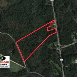 Photo of SOLD!!  10.6 Acres of Wooded Residential Land For Sale in Harnett County NC!