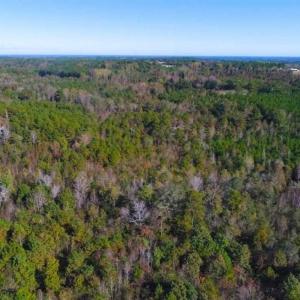 Photo of SOLD!!  10.6 Acres of Wooded Residential Land For Sale in Harnett County NC!