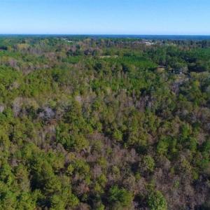 Photo of SOLD!!  10.6 Acres of Wooded Residential Land For Sale in Harnett County NC!