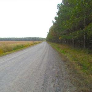 Photo of SOLD!!  138 Acres of Hunting Land For Sale in Southampton County VA!