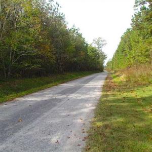Photo of SOLD!!  138 Acres of Hunting Land For Sale in Southampton County VA!