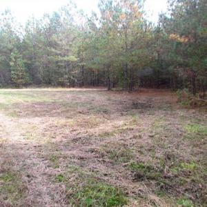 Photo of SOLD!!  138 Acres of Hunting Land For Sale in Southampton County VA!