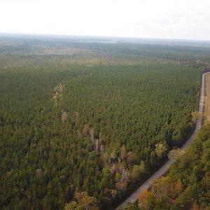 Photo of SOLD!!  138 Acres of Hunting Land For Sale in Southampton County VA!
