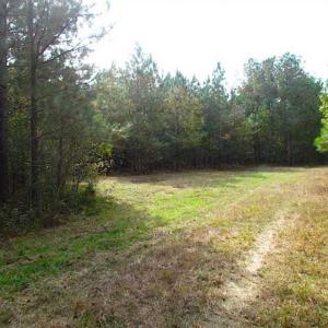 Photo of SOLD!!  138 Acres of Hunting Land For Sale in Southampton County VA!