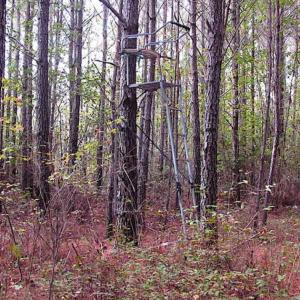 Photo of SOLD!!  138 Acres of Hunting Land For Sale in Southampton County VA!