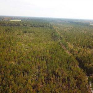 Photo of SOLD!!  138 Acres of Hunting Land For Sale in Southampton County VA!