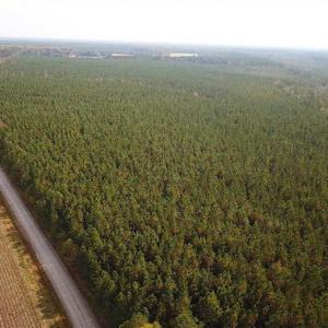 Photo of SOLD!!  138 Acres of Hunting Land For Sale in Southampton County VA!