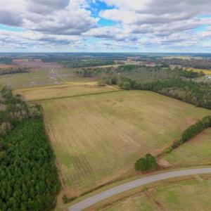 Photo of 54 Acres of Farm and Timber Land For Sale in Pitt County NC!