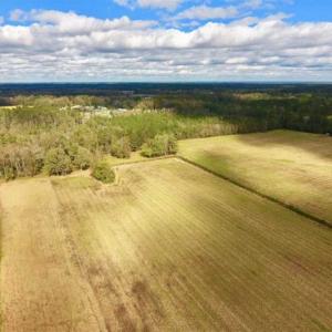 Photo of 54 Acres of Farm and Timber Land For Sale in Pitt County NC!