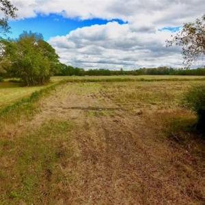 Photo of 54 Acres of Farm and Timber Land For Sale in Pitt County NC!
