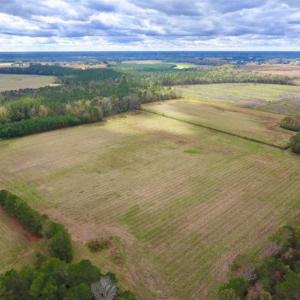 Photo of 54 Acres of Farm and Timber Land For Sale in Pitt County NC!