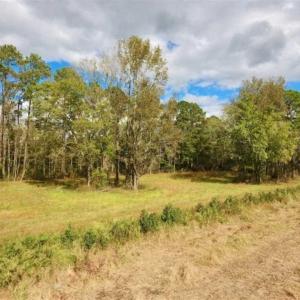 Photo of 54 Acres of Farm and Timber Land For Sale in Pitt County NC!
