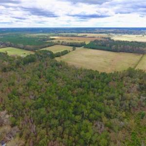 Photo of 54 Acres of Farm and Timber Land For Sale in Pitt County NC!