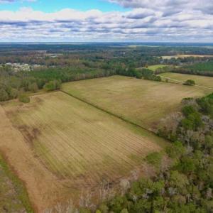 Photo of 54 Acres of Farm and Timber Land For Sale in Pitt County NC!