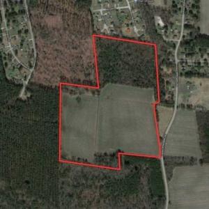 Photo of 54 Acres of Farm and Timber Land For Sale in Pitt County NC!