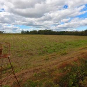 Photo of 54 Acres of Farm and Timber Land For Sale in Pitt County NC!