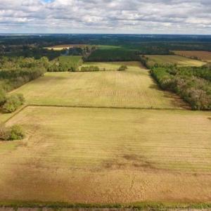 Photo of 54 Acres of Farm and Timber Land For Sale in Pitt County NC!