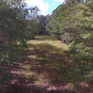 Photo of 54 Acres of Farm and Timber Land For Sale in Pitt County NC!