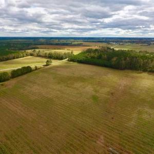 Photo of 54 Acres of Farm and Timber Land For Sale in Pitt County NC!
