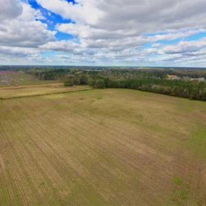 Photo of 54 Acres of Farm and Timber Land For Sale in Pitt County NC!