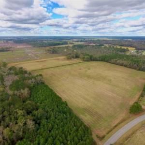 Photo of 54 Acres of Farm and Timber Land For Sale in Pitt County NC!