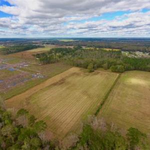 Photo of 54 Acres of Farm and Timber Land For Sale in Pitt County NC!