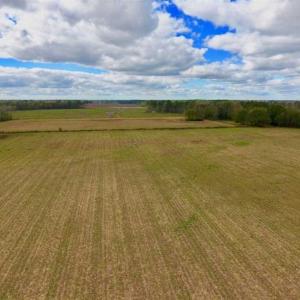 Photo of 54 Acres of Farm and Timber Land For Sale in Pitt County NC!