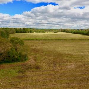 Photo of 54 Acres of Farm and Timber Land For Sale in Pitt County NC!