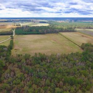 Photo of 54 Acres of Farm and Timber Land For Sale in Pitt County NC!