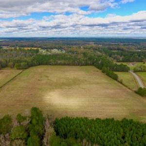 Photo of 54 Acres of Farm and Timber Land For Sale in Pitt County NC!