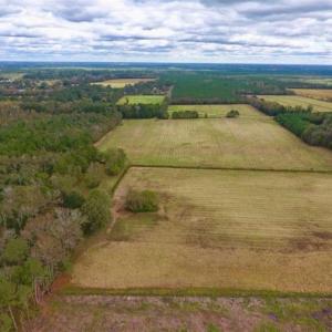 Photo of 54 Acres of Farm and Timber Land For Sale in Pitt County NC!