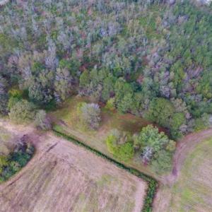 Photo of 54 Acres of Farm and Timber Land For Sale in Pitt County NC!