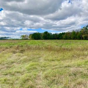 Photo of 54 Acres of Farm and Timber Land For Sale in Pitt County NC!