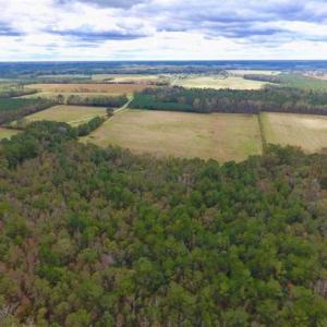 Photo of 54 Acres of Farm and Timber Land For Sale in Pitt County NC!