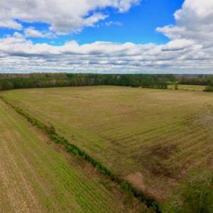 Photo of 54 Acres of Farm and Timber Land For Sale in Pitt County NC!