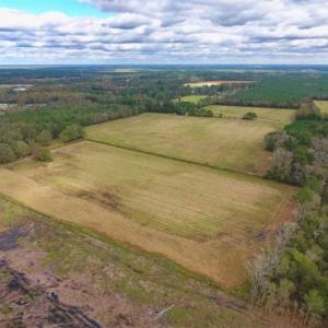Photo of 54 Acres of Farm and Timber Land For Sale in Pitt County NC!