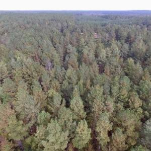 Photo of UNDER CONTRACT!!  21.2 Acres of Recreational and Hunting Land For Sale in Lunenburg County VA!