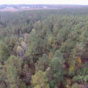 Photo of UNDER CONTRACT!!  21.2 Acres of Recreational and Hunting Land For Sale in Lunenburg County VA!