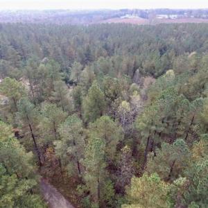 Photo of UNDER CONTRACT!!  21.2 Acres of Recreational and Hunting Land For Sale in Lunenburg County VA!