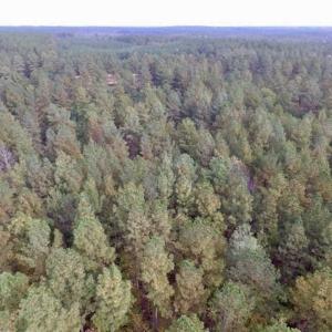 Photo of UNDER CONTRACT!!  21.2 Acres of Recreational and Hunting Land For Sale in Lunenburg County VA!